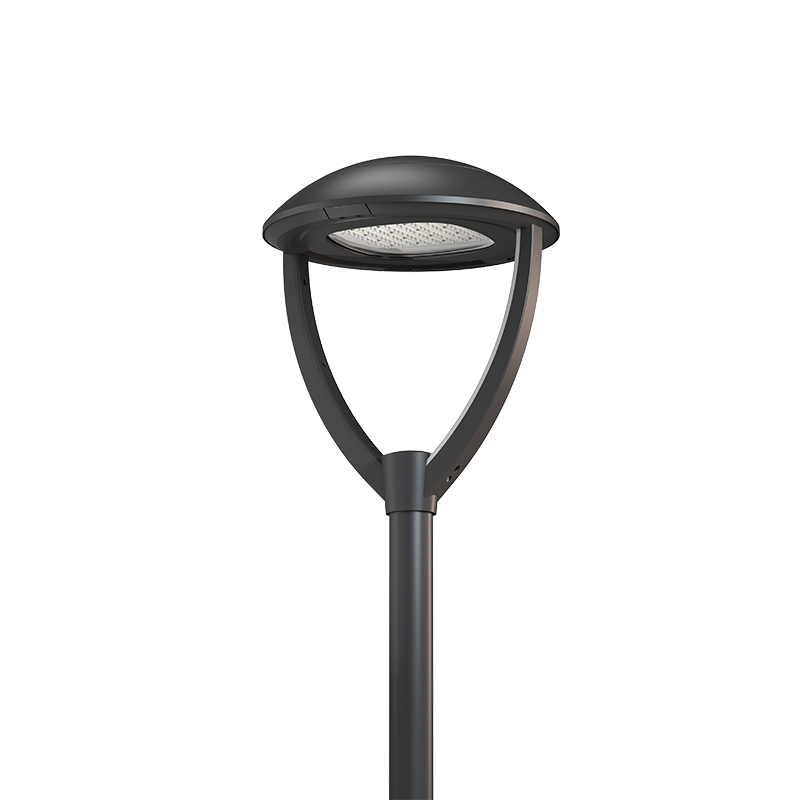 Paaltop- en zij-ingang LED-lantaarns stadslicht